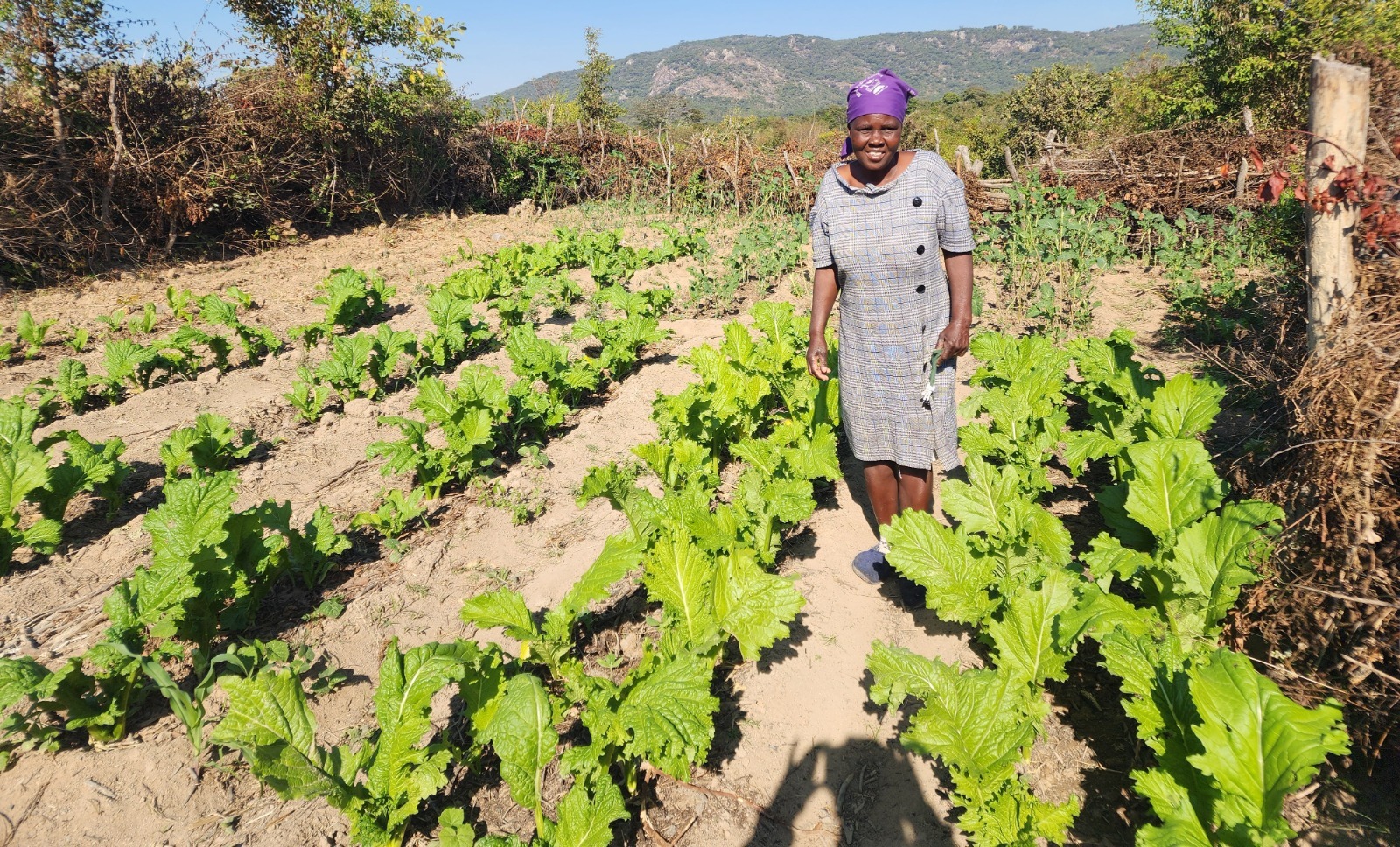 How Agroecology Is Strengthening Women’s Economic Empowerment and Preventing Gender-Based Violence (GBV) in Bikita District