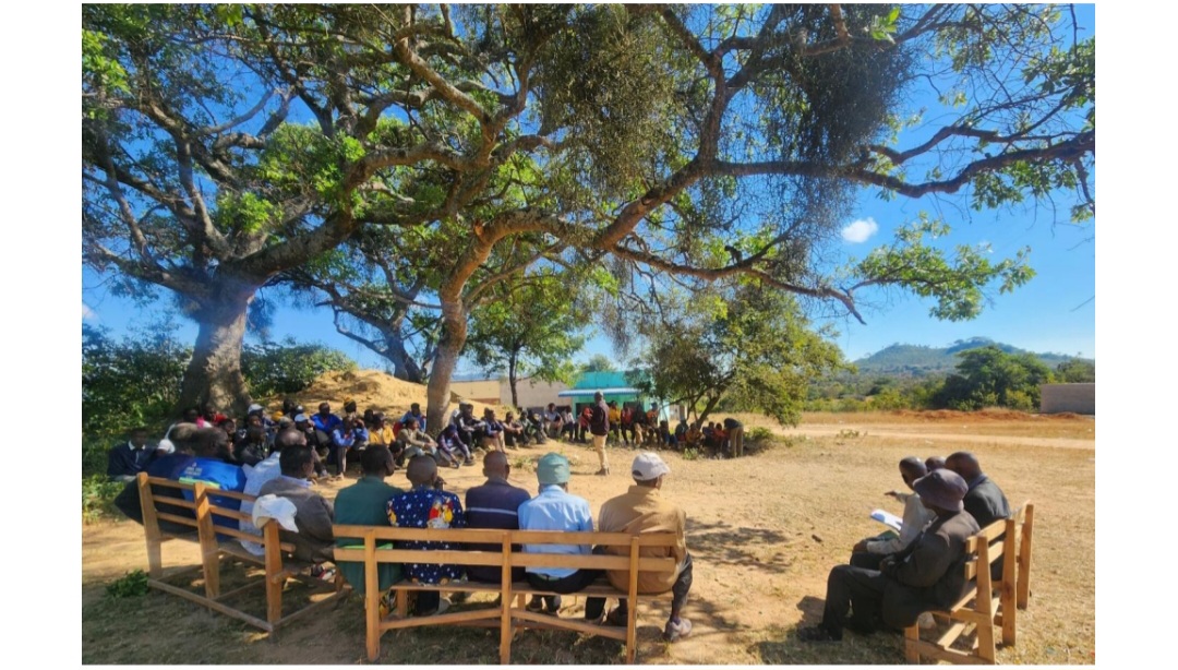Male Engagement Learning Brief